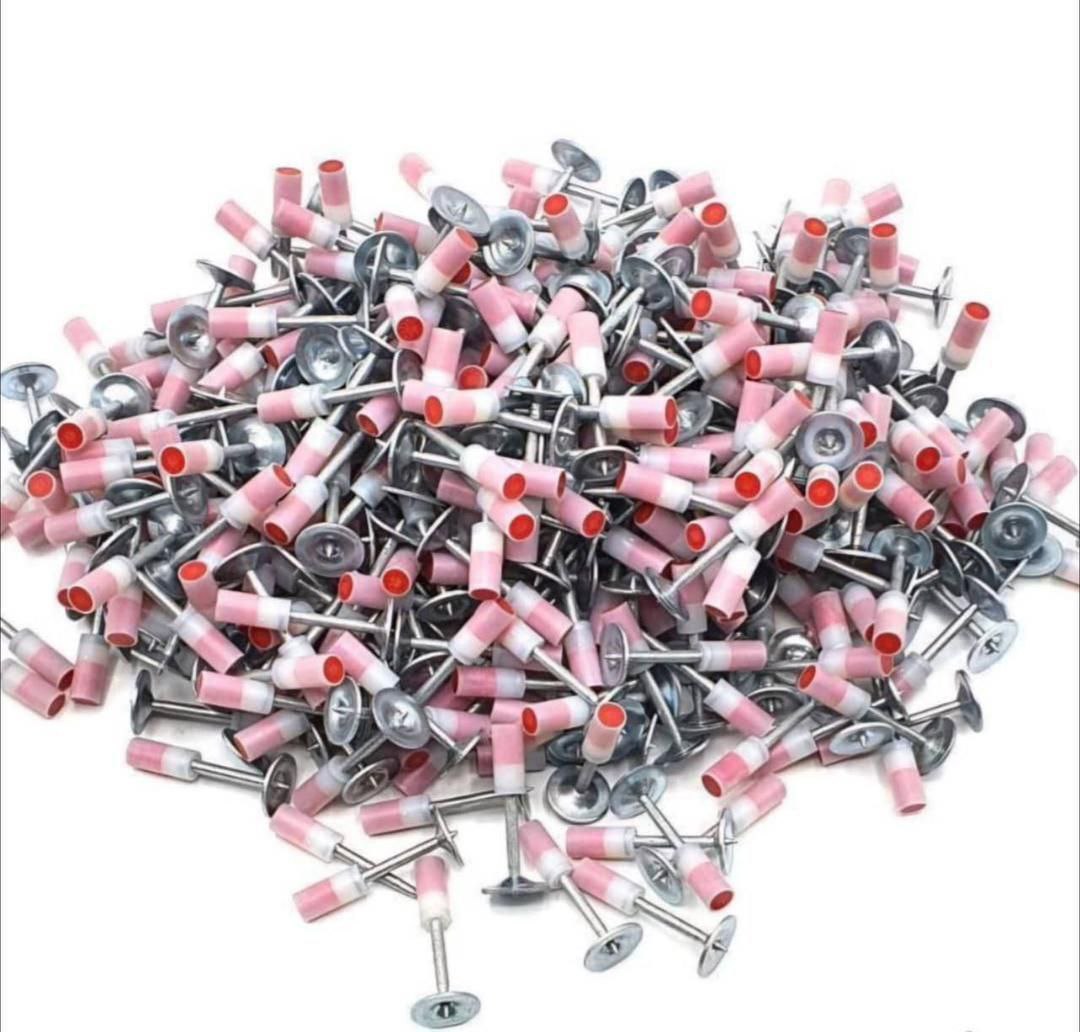 photo_2025-11-03_18-40-37